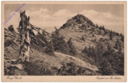 Bayrisch Eisenstein, Gipfel des Gr. Arber