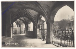 Laufen (Salzach), Ortsansicht