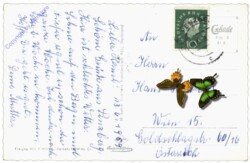 Penzberg, Neusteigenberg, Ortsansicht