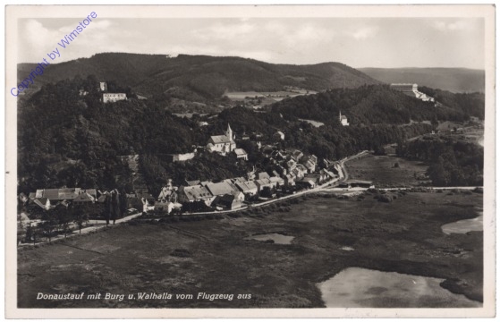 ak135248 Regensburg, Donaustauf mit Burg u. Walhalla vom Flugzeug aus
