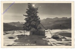 Reit im Winkl, Skiparadis Winklmoos