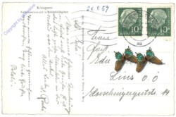 Schönau am Königsee, Königssee, Falkensteinwand u. Schönfeldspitze