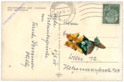 Schönau am Königsee, Motiv am Königssee