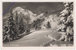 Schönau am Königsee, Auf der Königsbergalm
