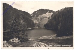 Unterwössen, Taubensee