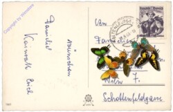 Blumen mit Eier und Vogel