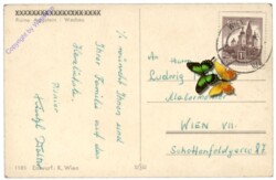 Blumen umrahmen Landschaft