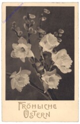 Narzissen mit Palmkätzchen