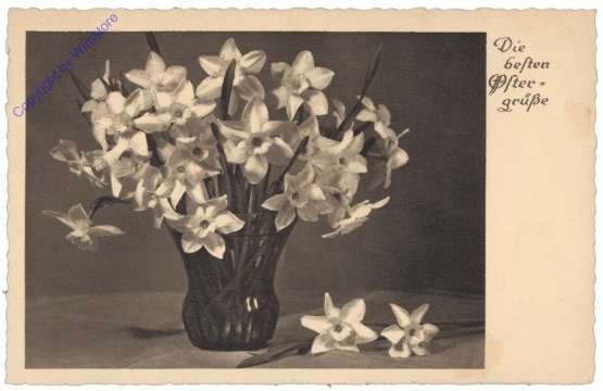 ak135630 Narzissen in Vase