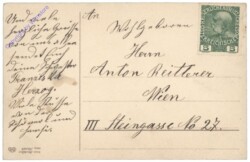 Palmkätzchen mit Birkenzweigen