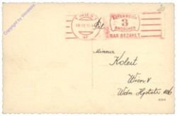 ak135635a Palmstrauß mit mechanischem Kücken