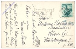 Hasen auf der Strasse