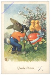 Hase fotografiert zwei Kücken