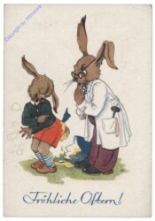 ak135674 Hase beim Doktor