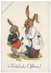 Hase beim Doktor