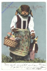 ak135693 Hasenmutter