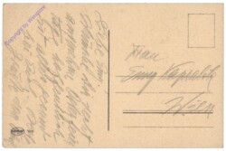 Hasen schenkt Kücken einen Blumenstrauß