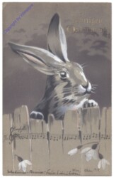 Hase blickt über den Zaun