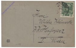 Hase blickt über den Zaun