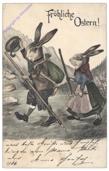 Hasen auf Wanderung