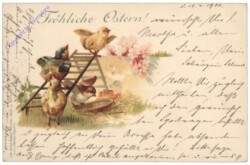 Kücken auf einer Leiter