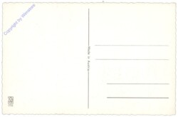 Kücken auf einem Zweig