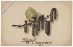 Kücken auf einem Zweig