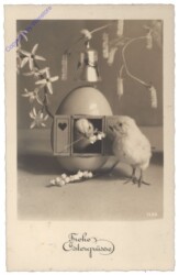 Kücken schaut aus einem Eierhaus