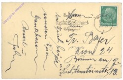 Kücken schaut aus einem Eierhaus