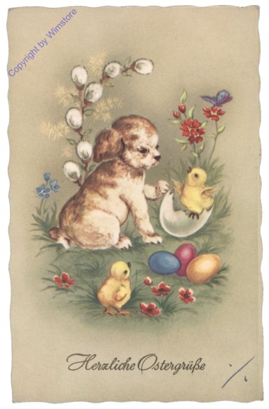 Kücken mit Hund