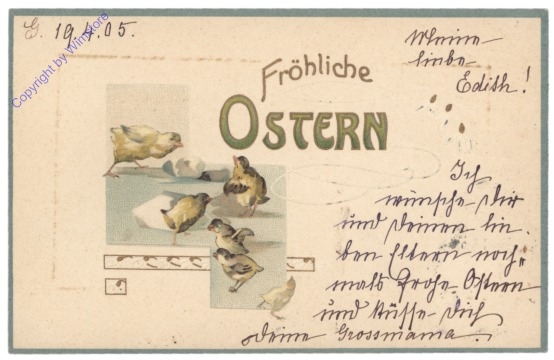 Kücken