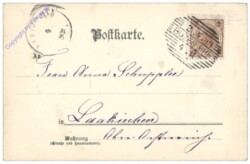 Kücken