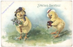 Kücken fotografiert Kücken mit Blumenstrauß