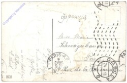 Kücken fotografiert Kücken mit Blumenstrauß