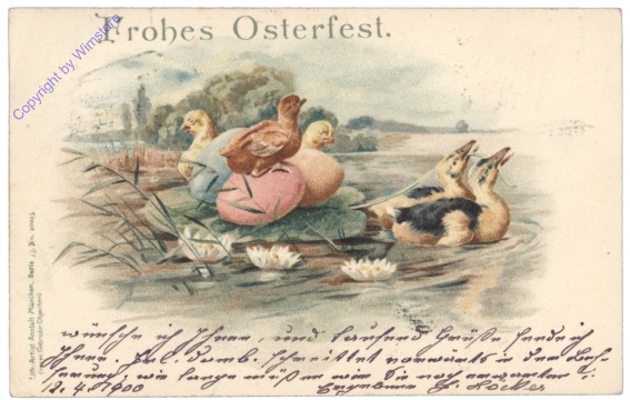 Kücken am See