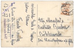 Kücken zieht Kutsche