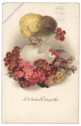 Kücken auf Ei mit Blumen