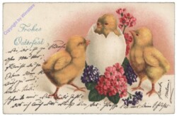 ak135806 Kücken mit Blumen