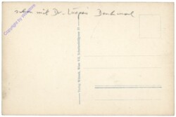 Wien 1, Wollzeile, Dr. Karl Lueger-Denkmal