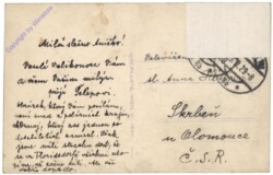 Wien 2, Der Eisstoß im Februar 1929 bei der Reichsbrücke