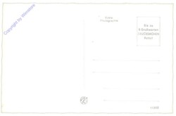 Wien 9, Votivkirche mit Währingerstrasse