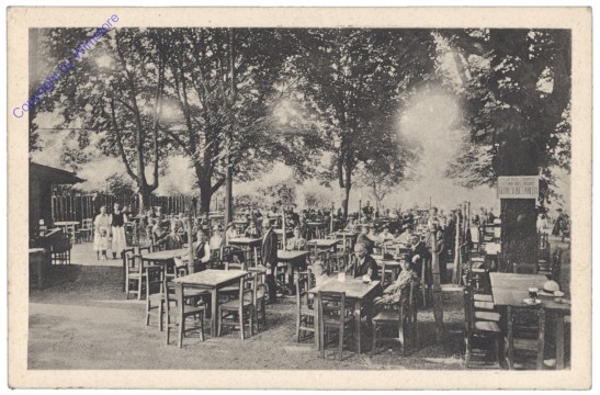 ak139014 Wien 12, Fritz Walzhofer's Restauration zum Gemeindegasthaus, Hetzendorferstrasse