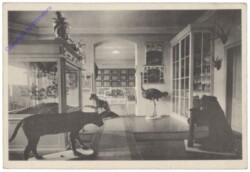 Wien 13, Erziehungsanstalt für Knaben, Am Rosenhügel, Museum