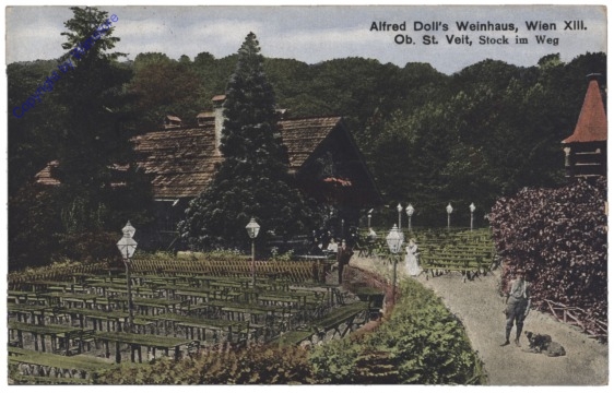 ak139224 Wien 13, Alfred Doll's Weinhaus, Stock im Weg