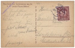 Wien 13, Alfred Doll's Weinhaus, Stock im Weg