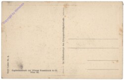 Wien 13, Lainzer Tiergarten, Wildschwein/Eber