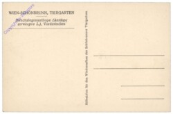 Wien 13, Schönbrunn, Menagerie, Hirschziegenantilope