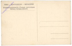 Wien 13, Schönbrunn, Menagerie, Elephantenschildkröte