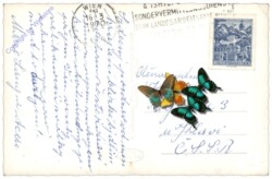 Wien 15, Mariahilfergürtel, Kirche Maria vom Siege