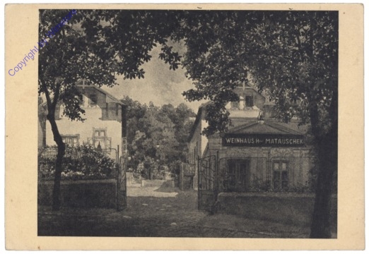 ak139647 Wien 16, Weinhaus Matauschek